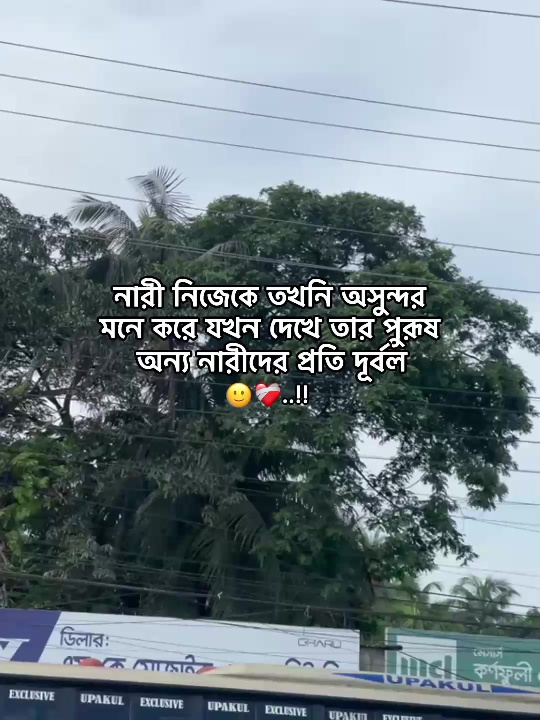 @⁷𝐇𝐚𝐦𝐢𝐝𝐚◡🧃
