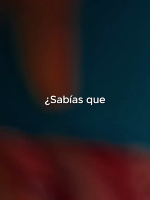 @Sentidos de la Vida