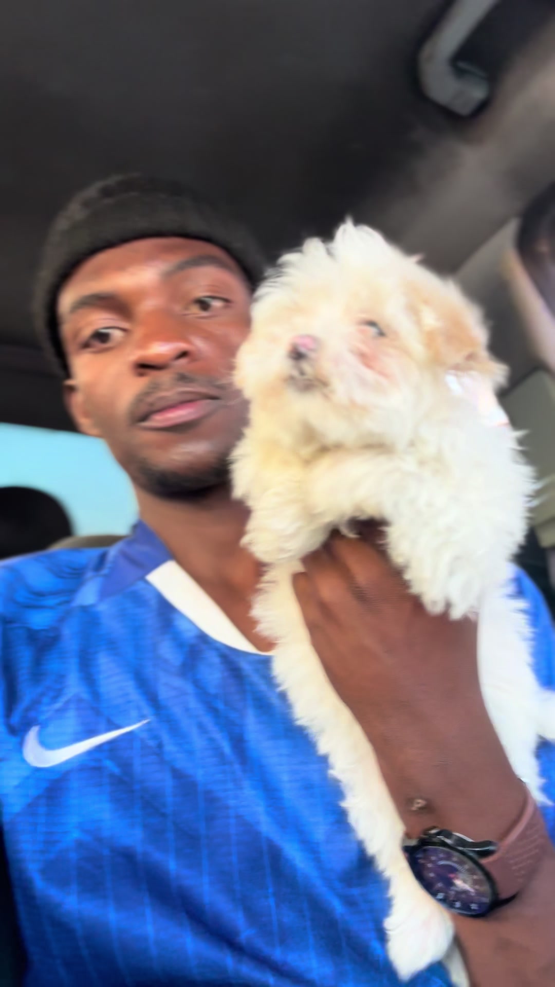 @DracularDogKennels🐶🇿🇼