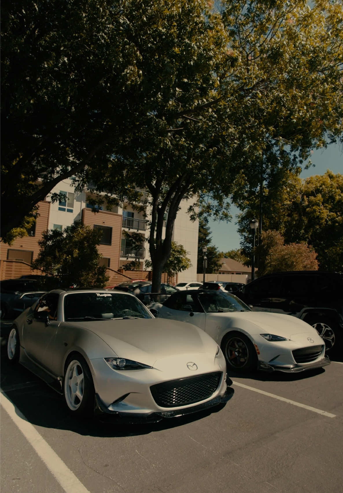 @dyl.mov