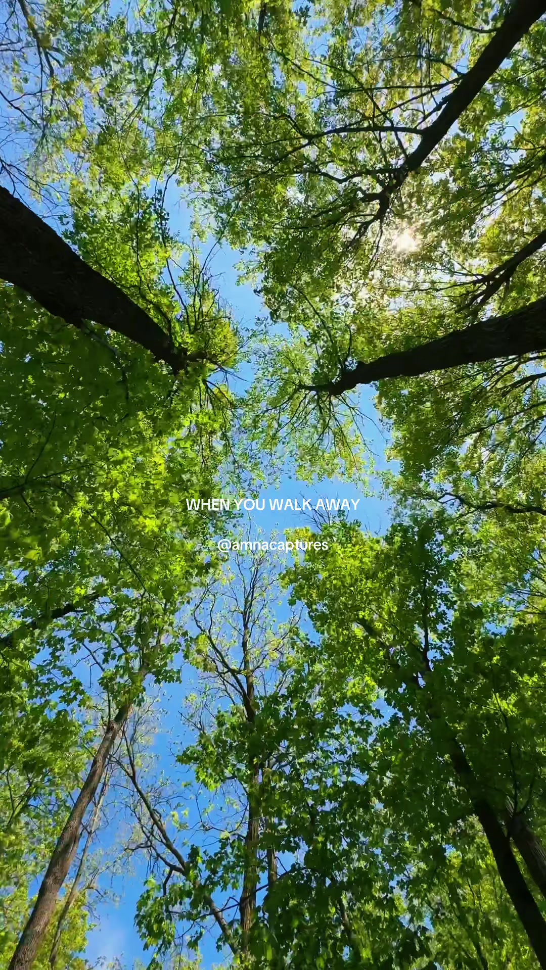 @Nature lover  🇨🇦