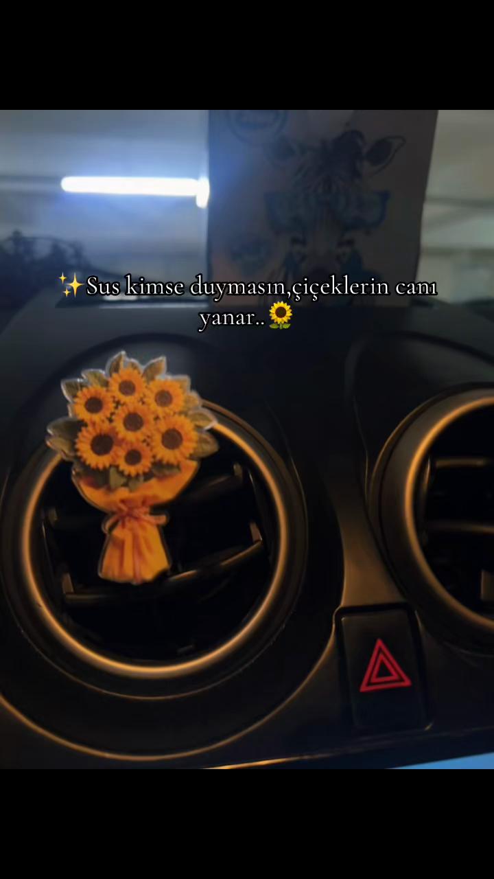 @Zeynəb_informatics
