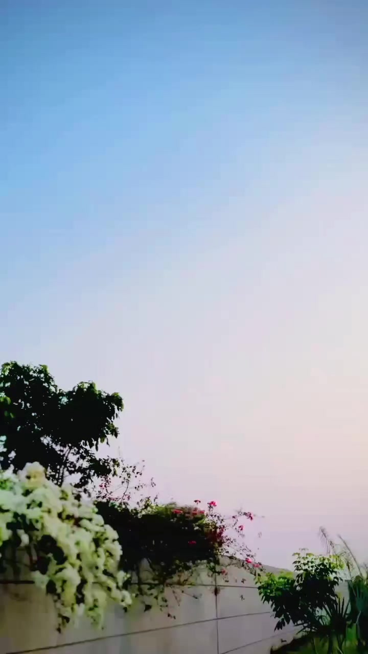 @Haji Khizar Malka
