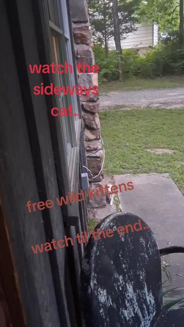 @Missyholland71