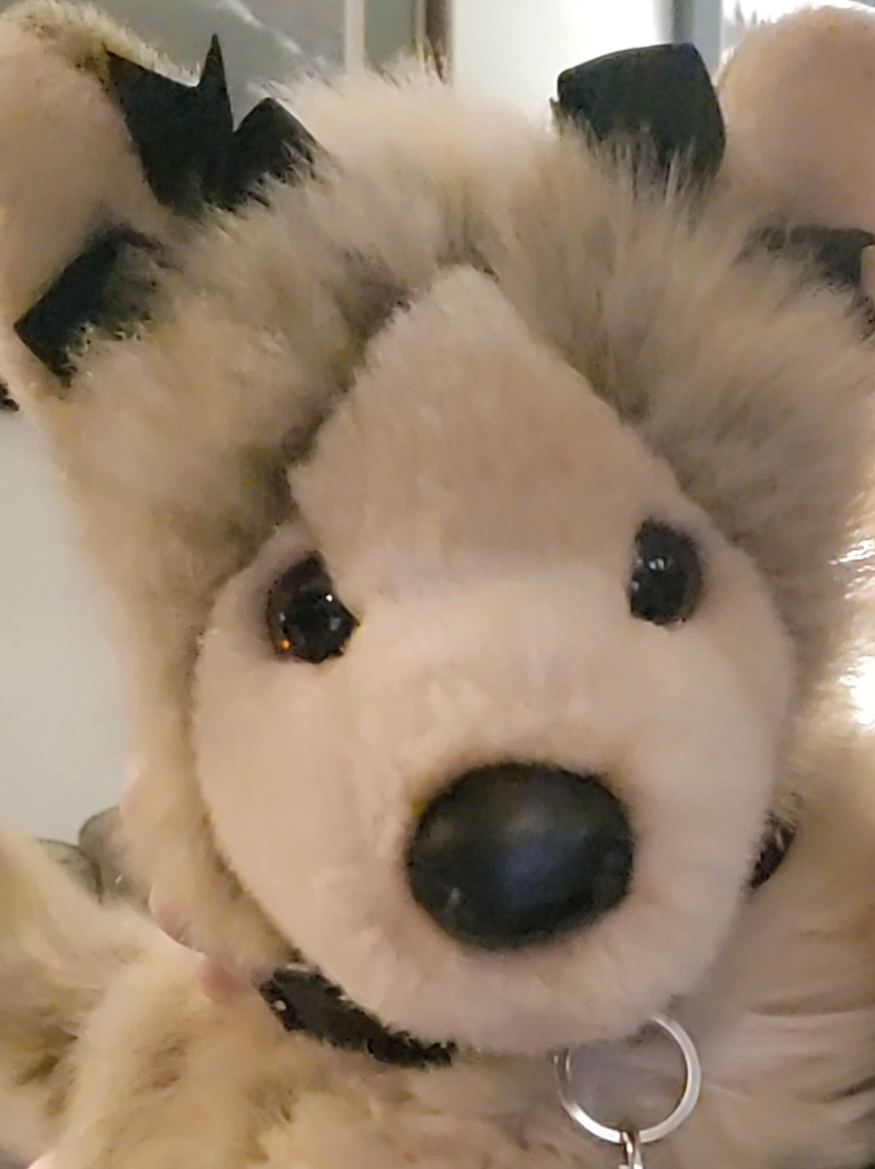 @♡Vix♡