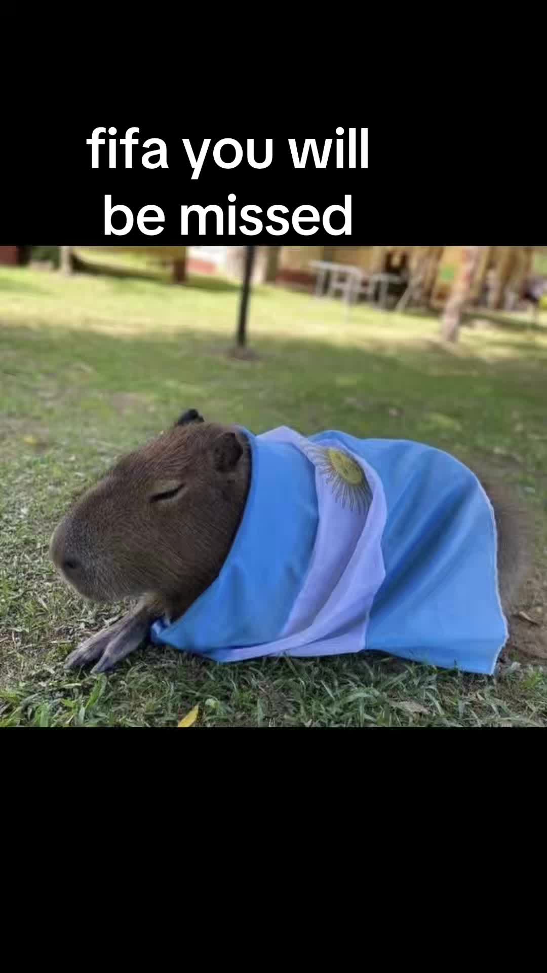 @chilllcapy
