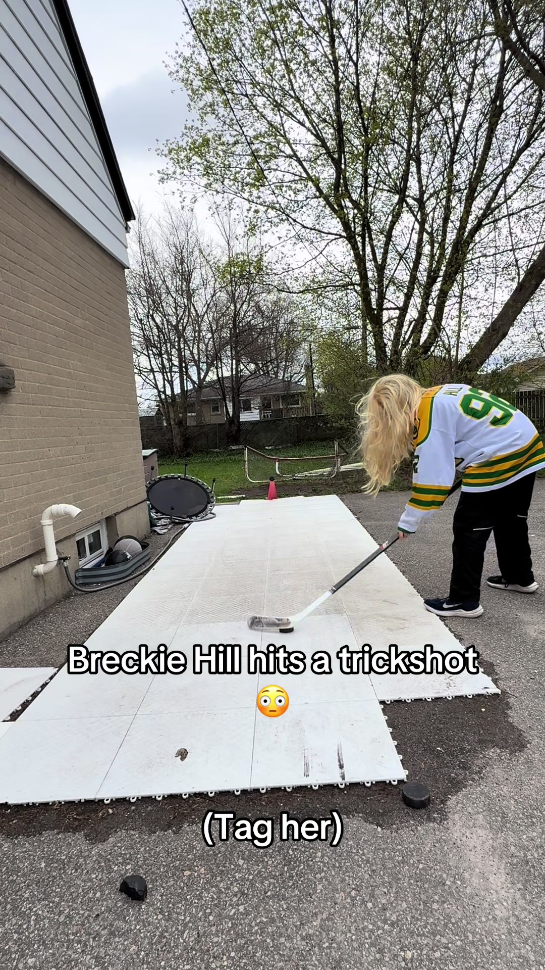 @Hockey Legend