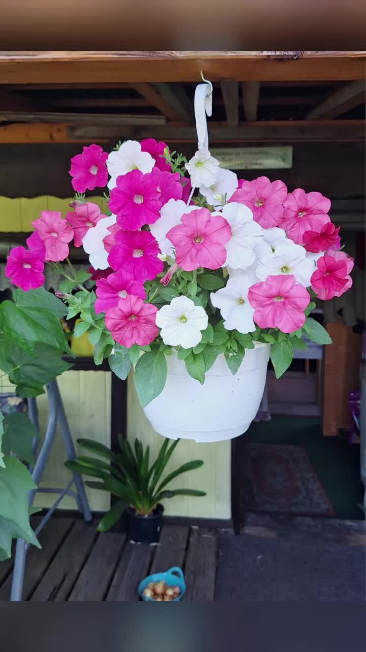 @Natur und Garten