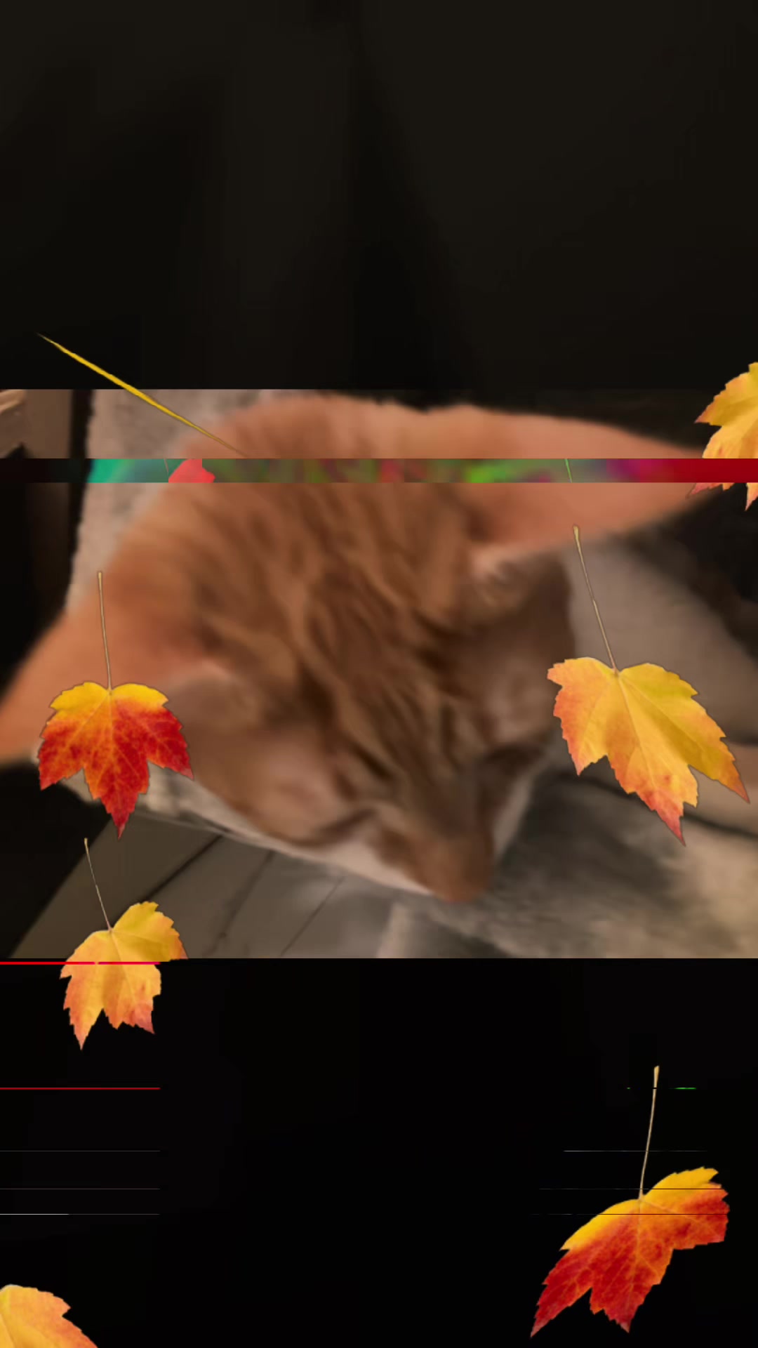 @𝓙𝓪𝓬𝓬𝓬𝓬
