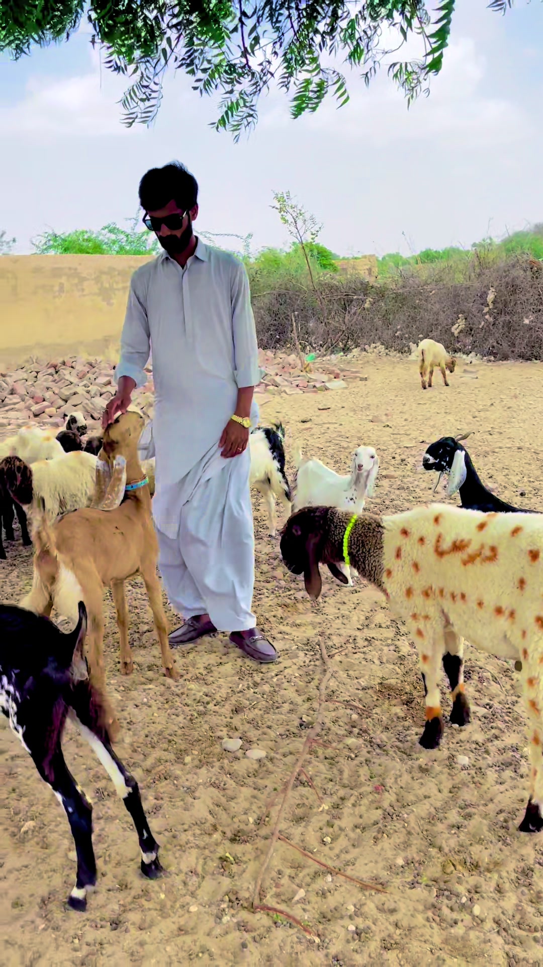 @Aijaz Ali Dars