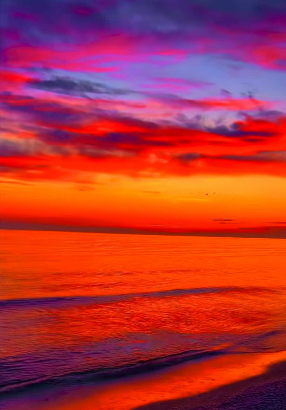 @🌅 Sunset 🌅