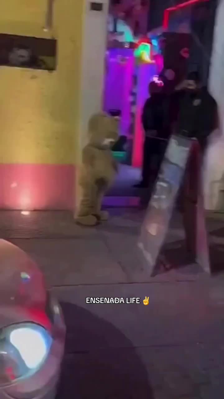 @EL Gallo Salcedo🇲🇽