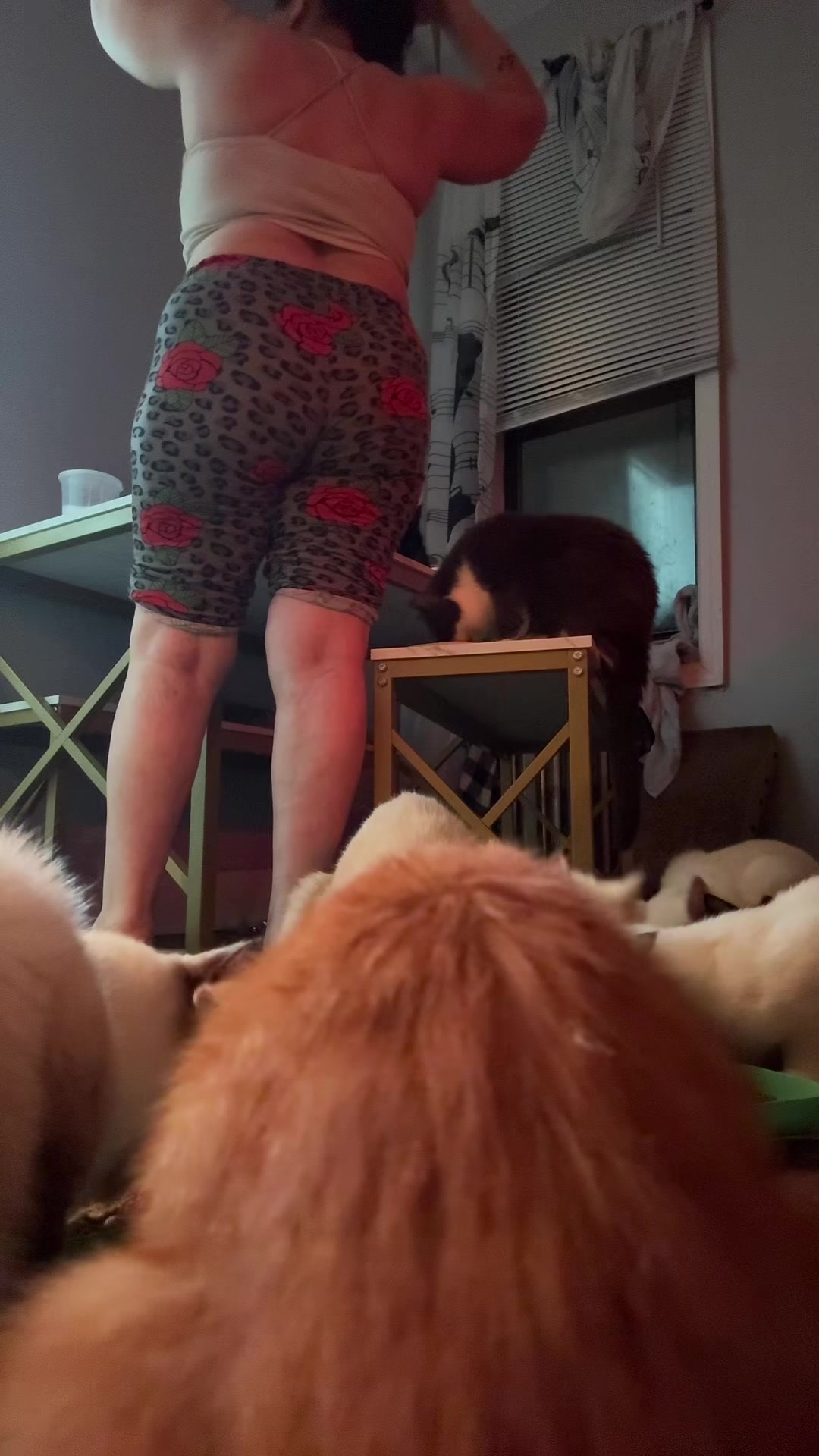 @annaritalovee