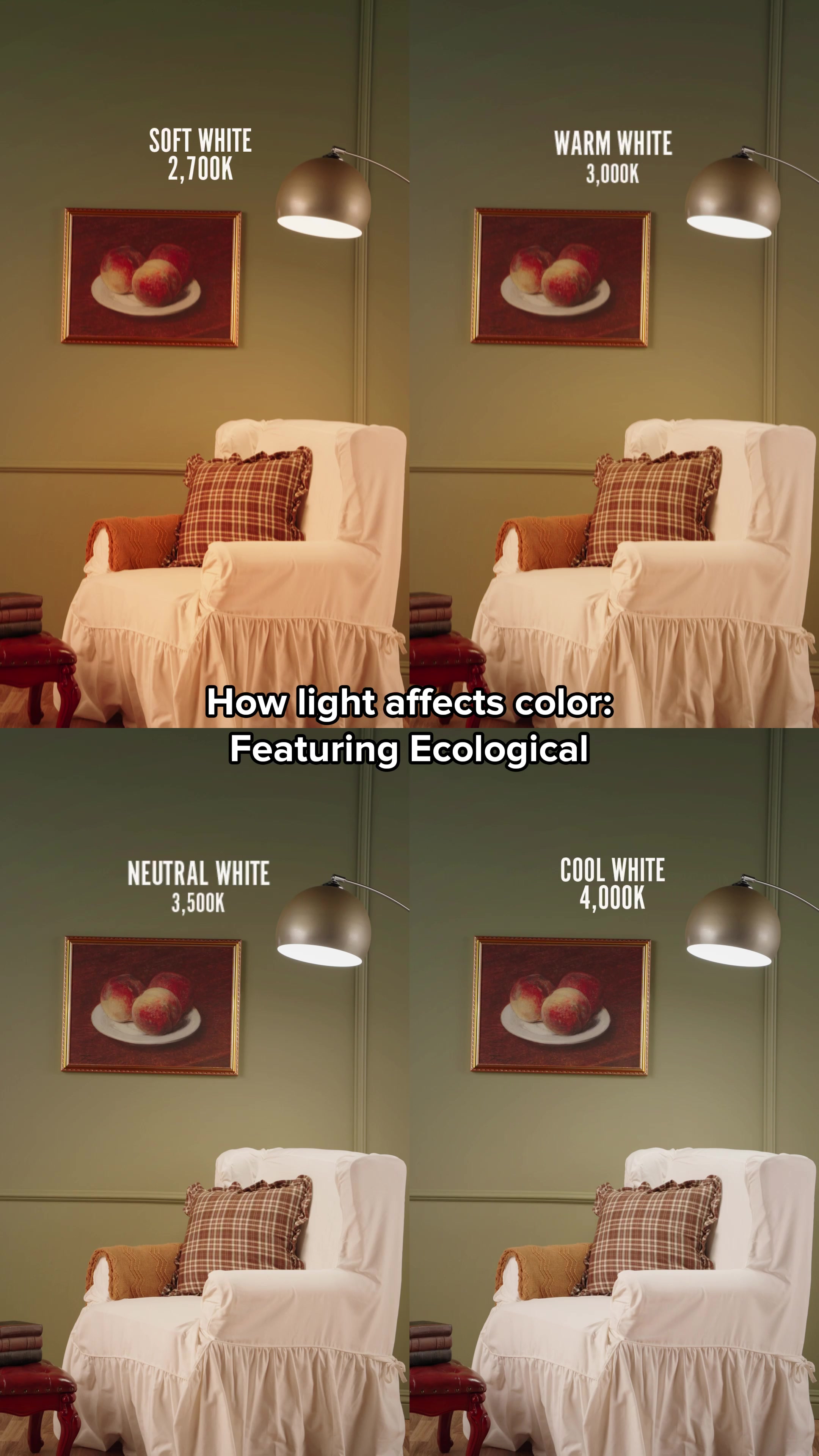 @BEHR® Paint
