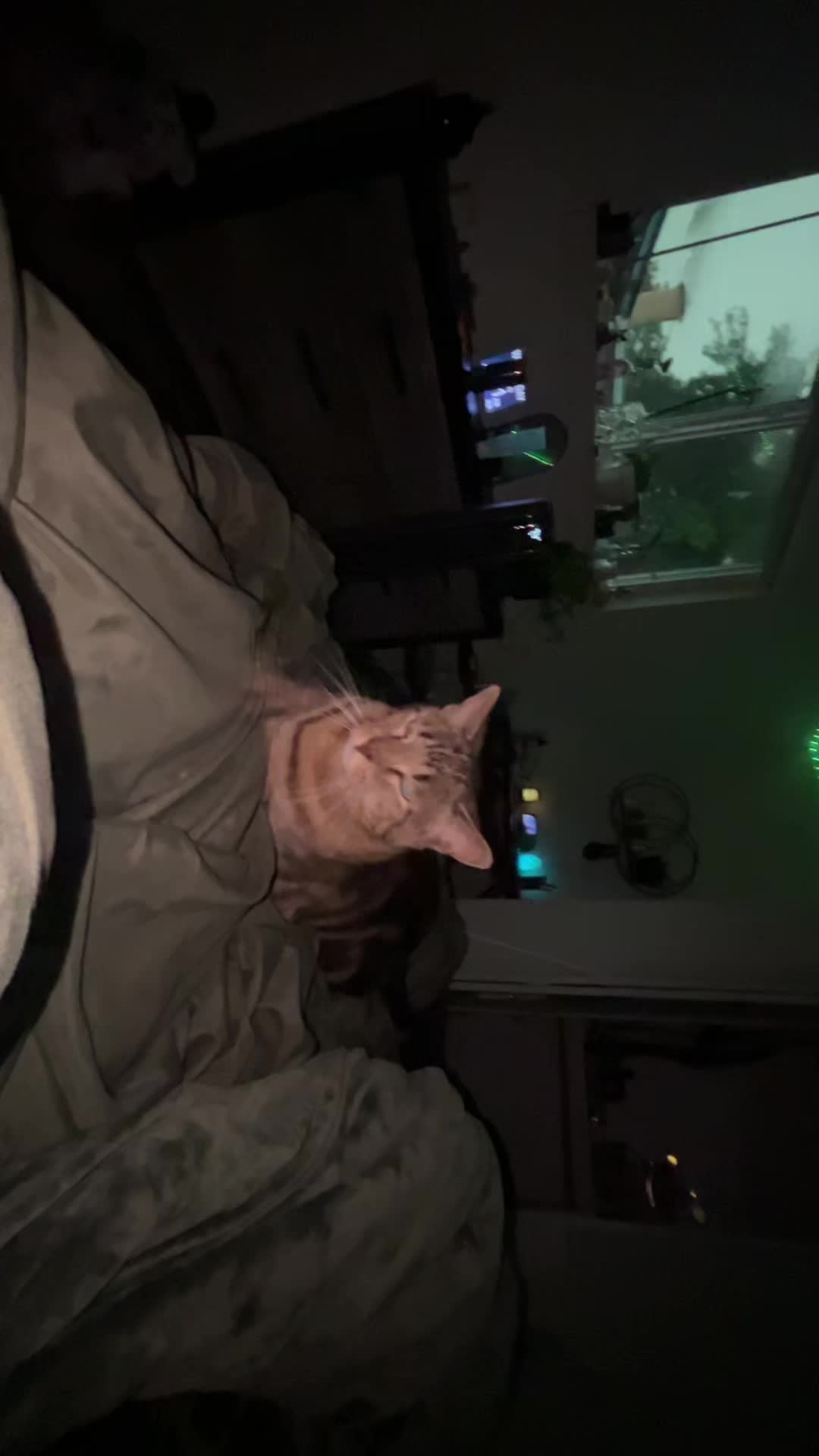 @0w0