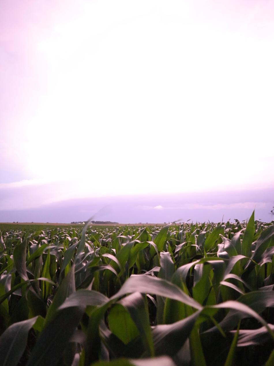 @Aaron Groen
