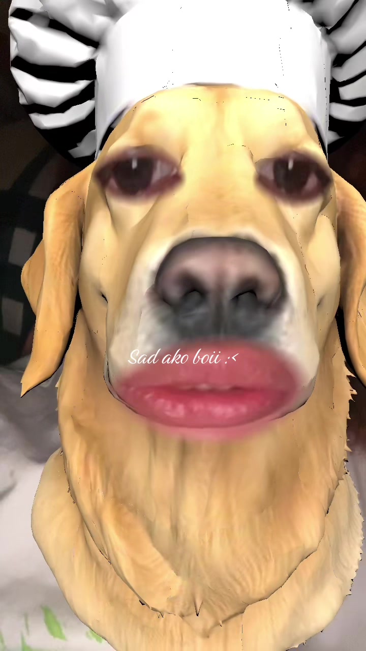 @alai