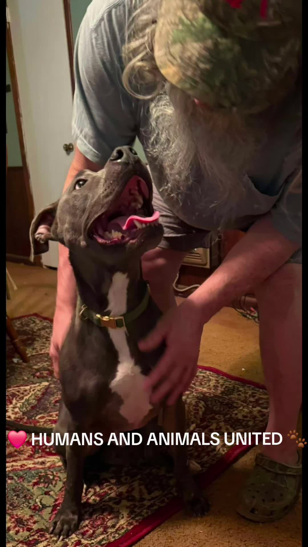 @HumansAndAnimalsUnited