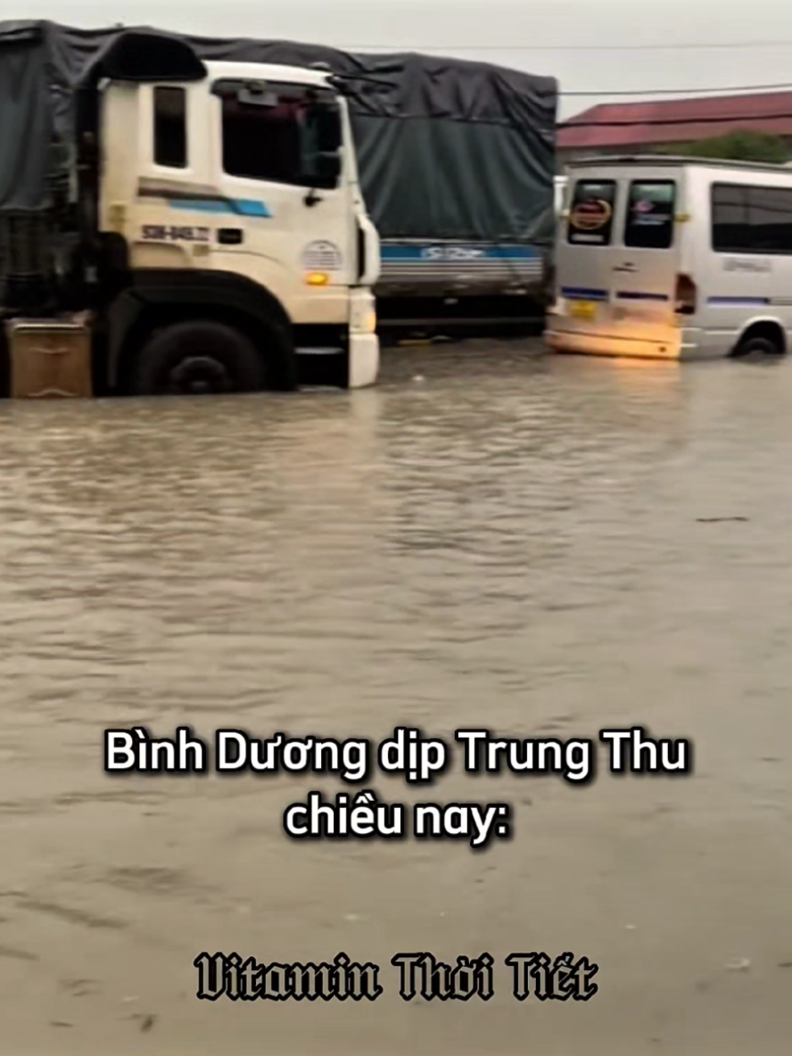 @Vitamin Thời Tiết 🌪⚡