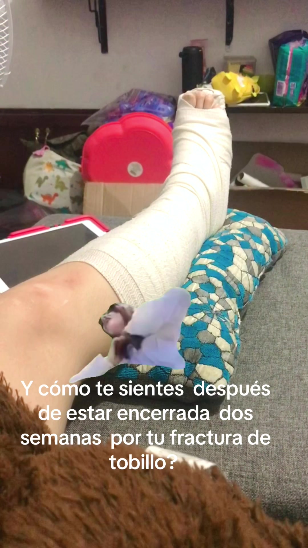 @Pollisrex