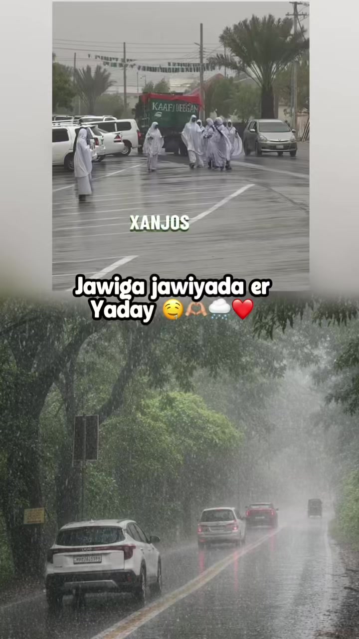 @xanjos_🇸🇴