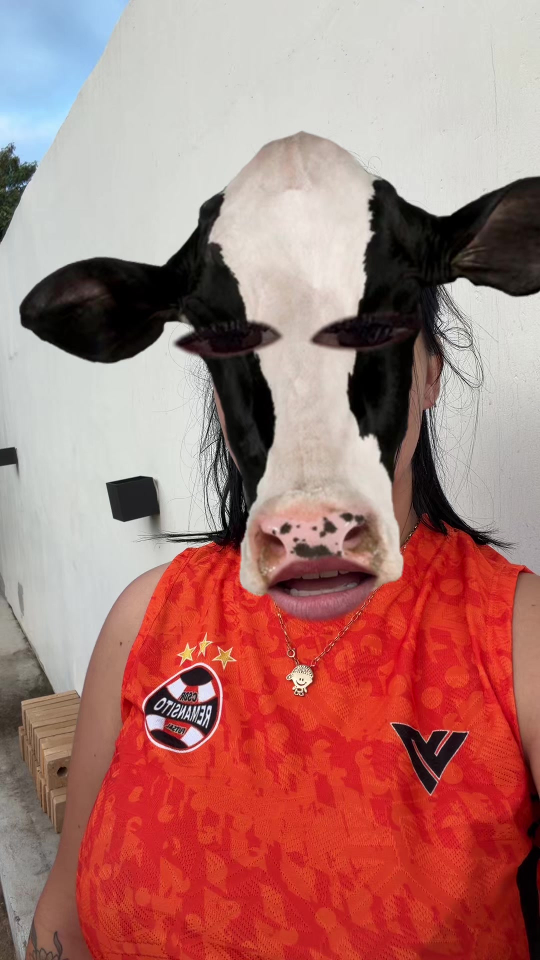 @Luana Aguilar 
