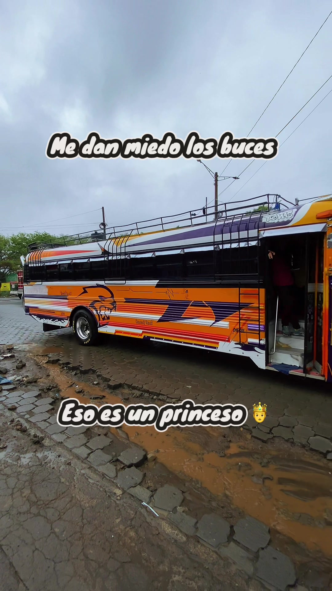 @transportesanjose12