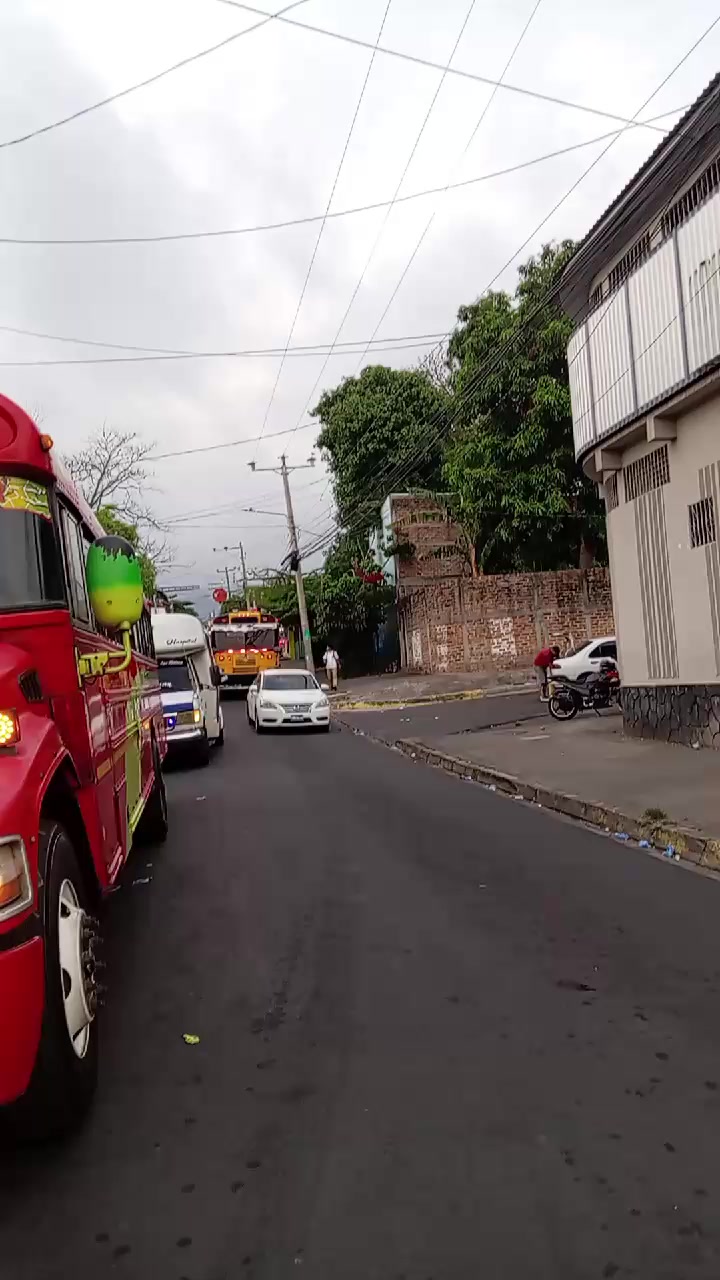 @buses elegantes 503