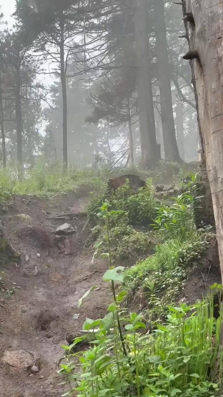 @César Ayala Mountainbiker