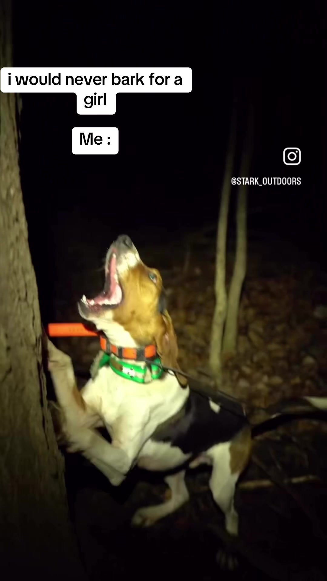 @No name 24