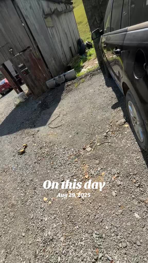 @😎Neighborhood_Nuisance😎