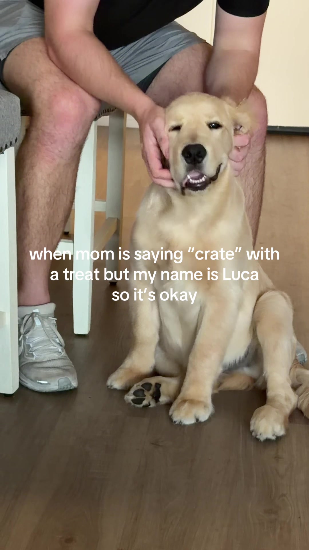 @Luca the Golden
