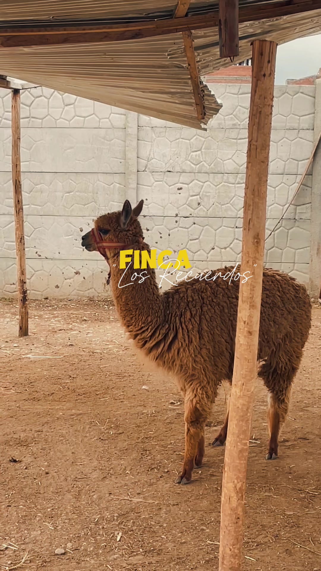 @๐
