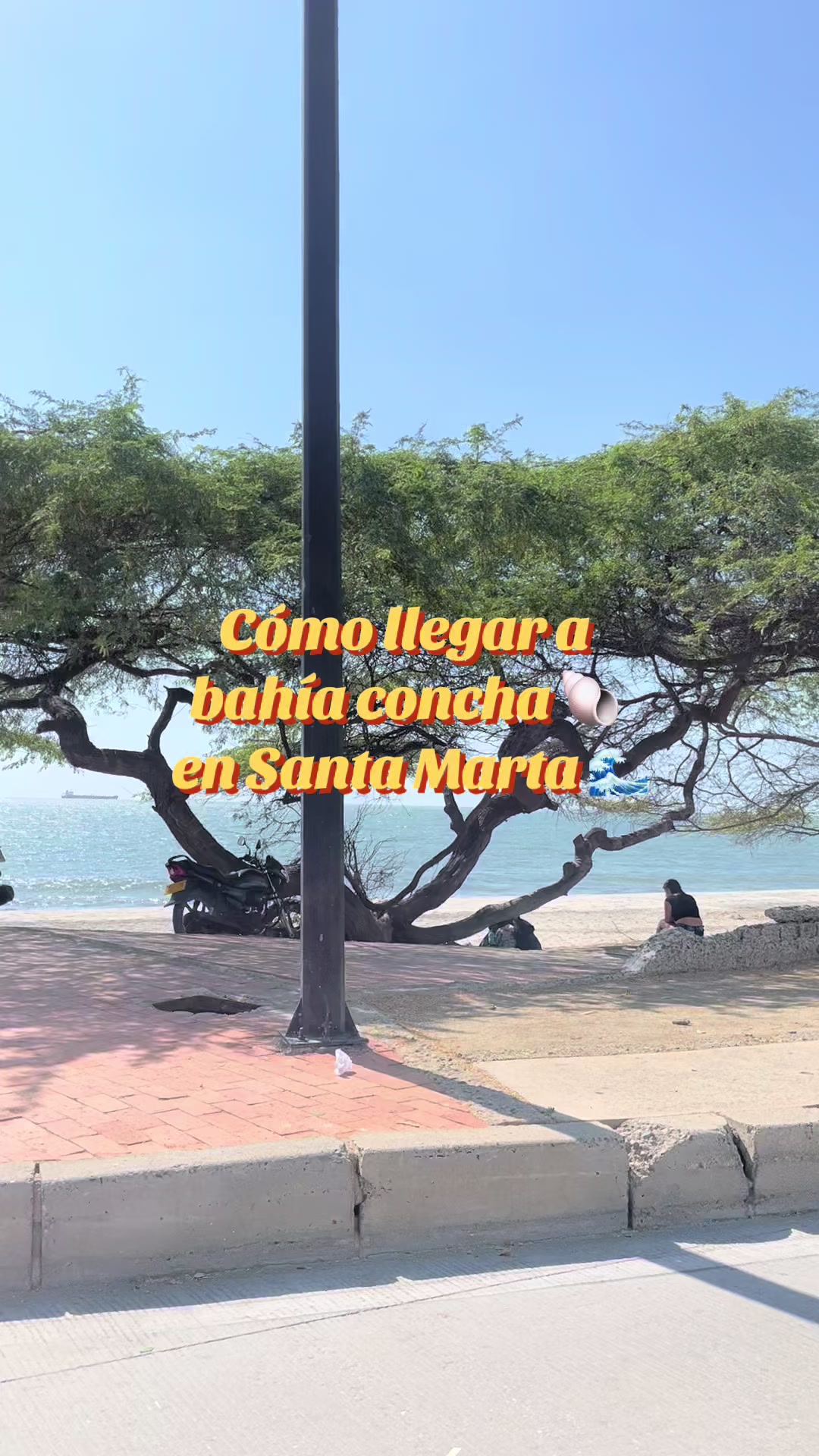 @Sarfu_.__