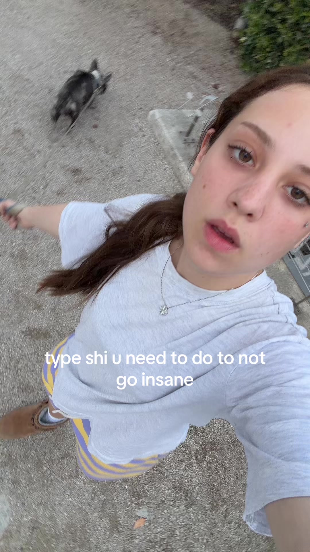 @mishel