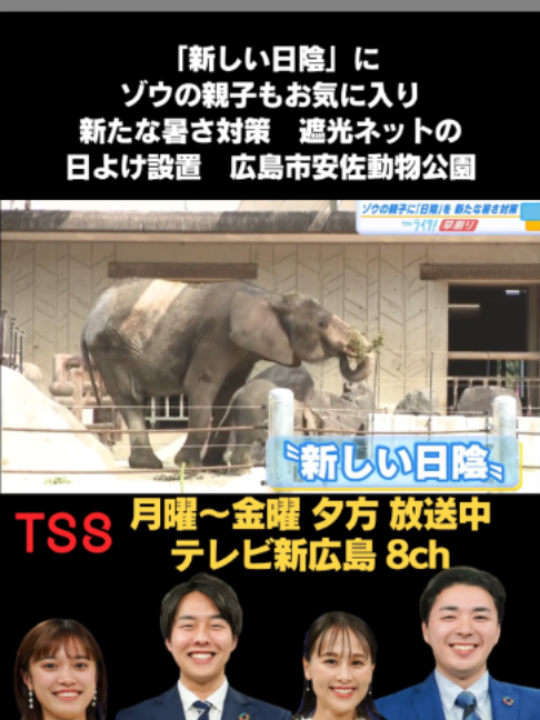 @テレビ新広島公式TikTok