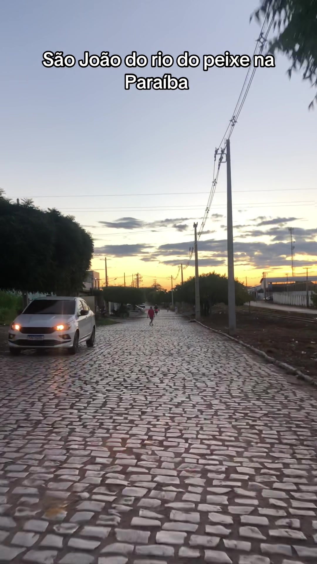 @ALEXANDRE 856