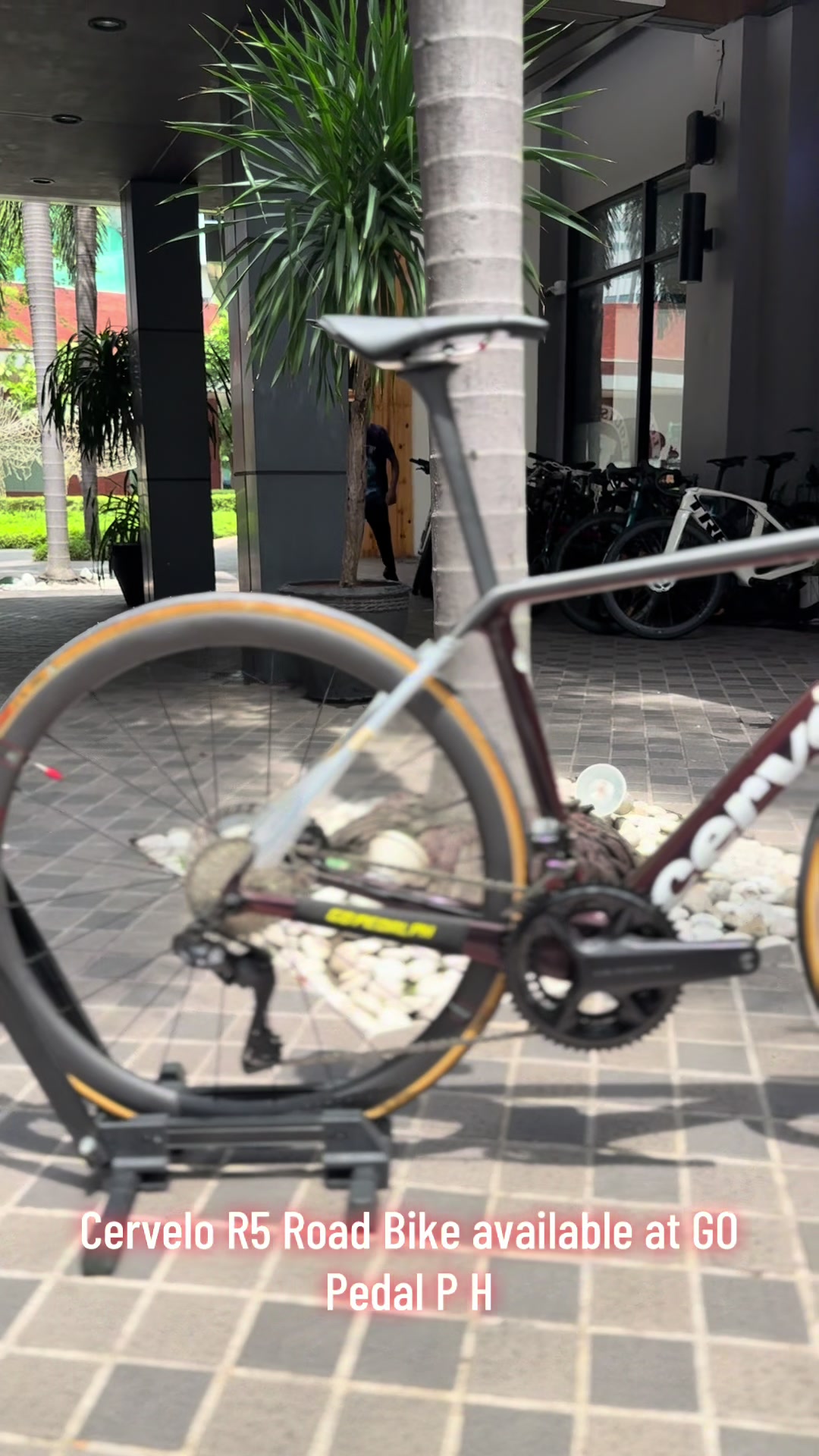 @gopedalph