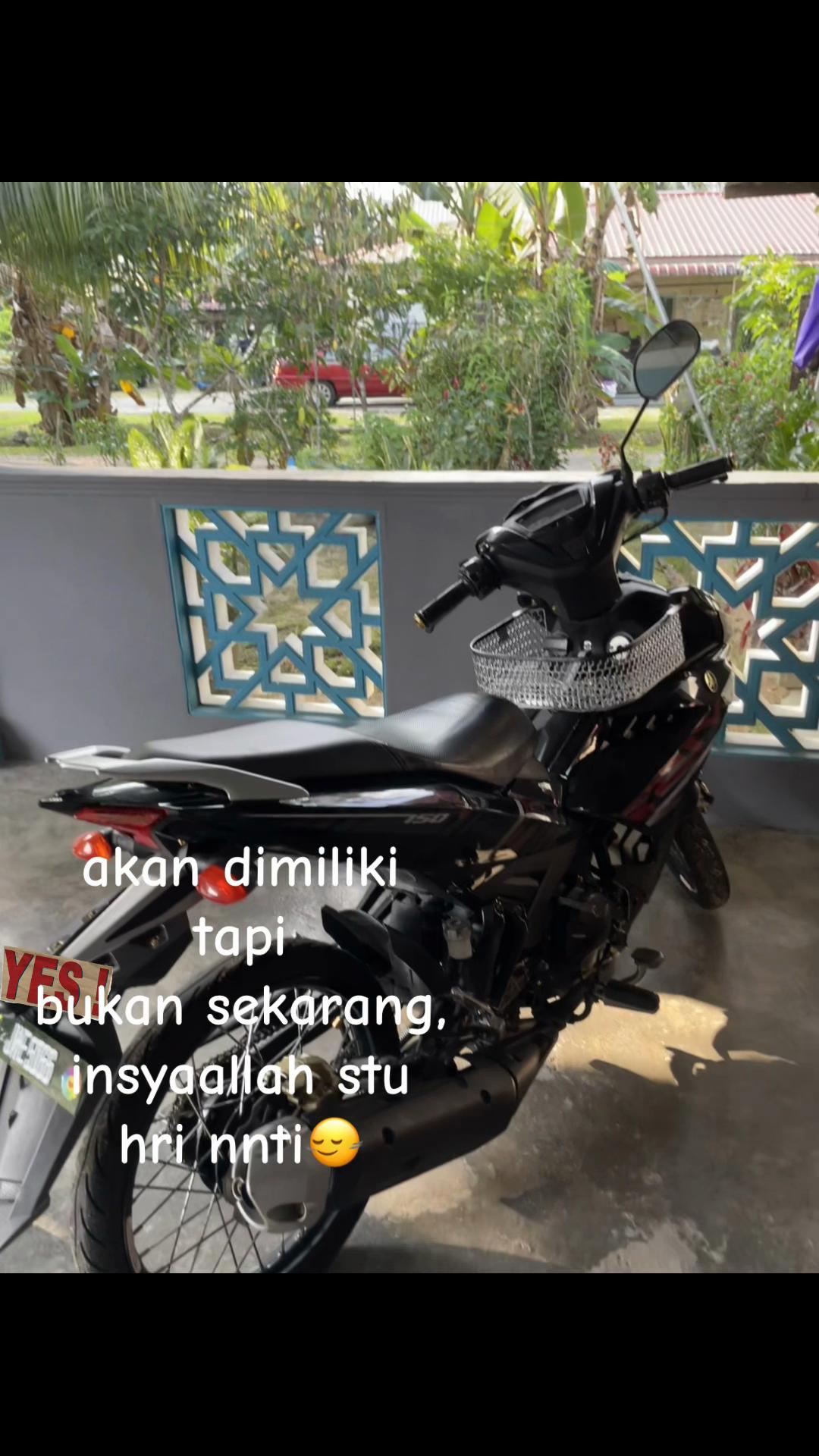 @𐌙𐌉𐌄𐌍🐣