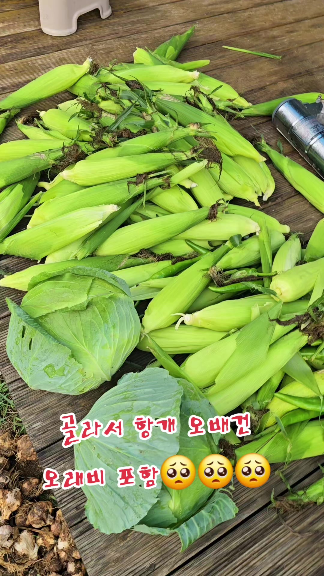 @나는 자연인이다 ~🤪