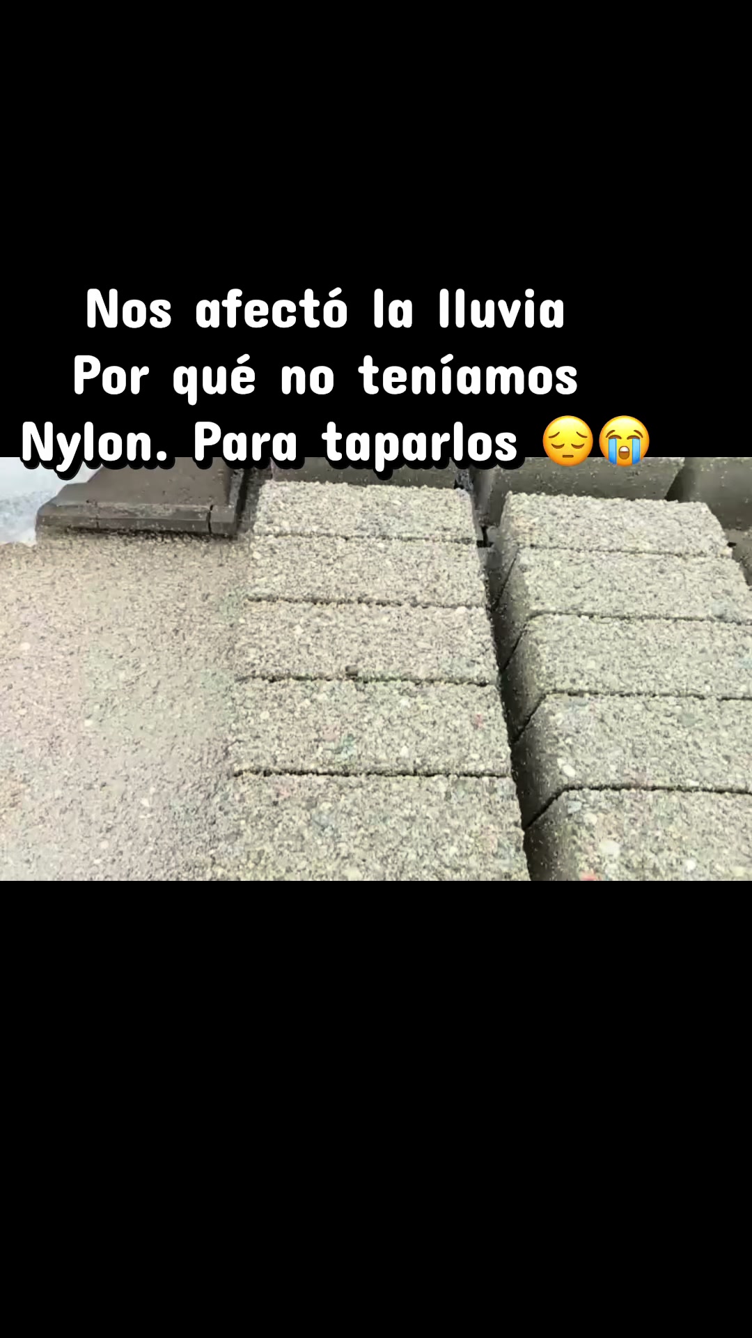 @alejandropera912