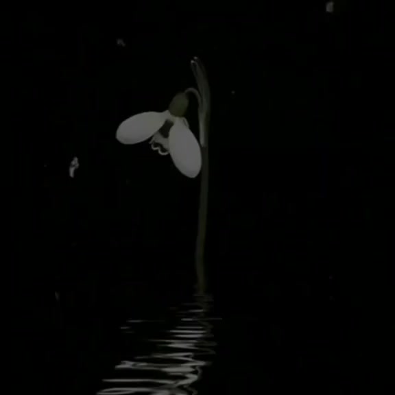 @𝓗♫