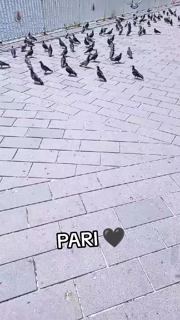 @🍫🇹🇷 PARI 🖤 🇹🇷🇹🇷