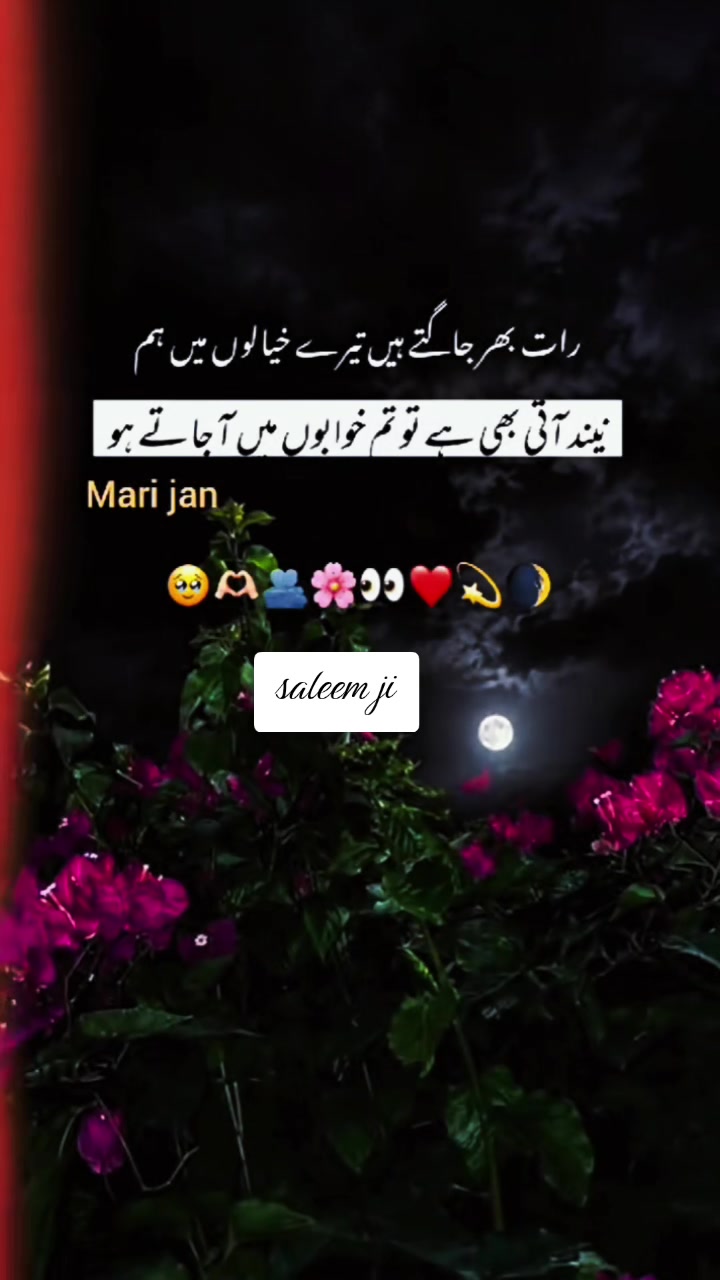 @🇸🇦🤍🥀🥀نواب زادہ🤍🥀🥀