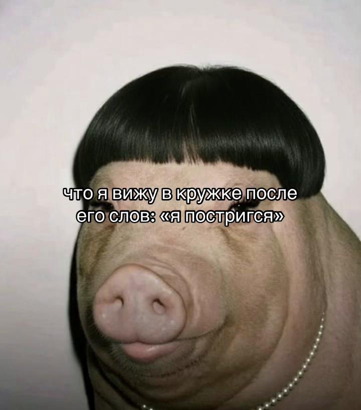 @тгк:helvuxx