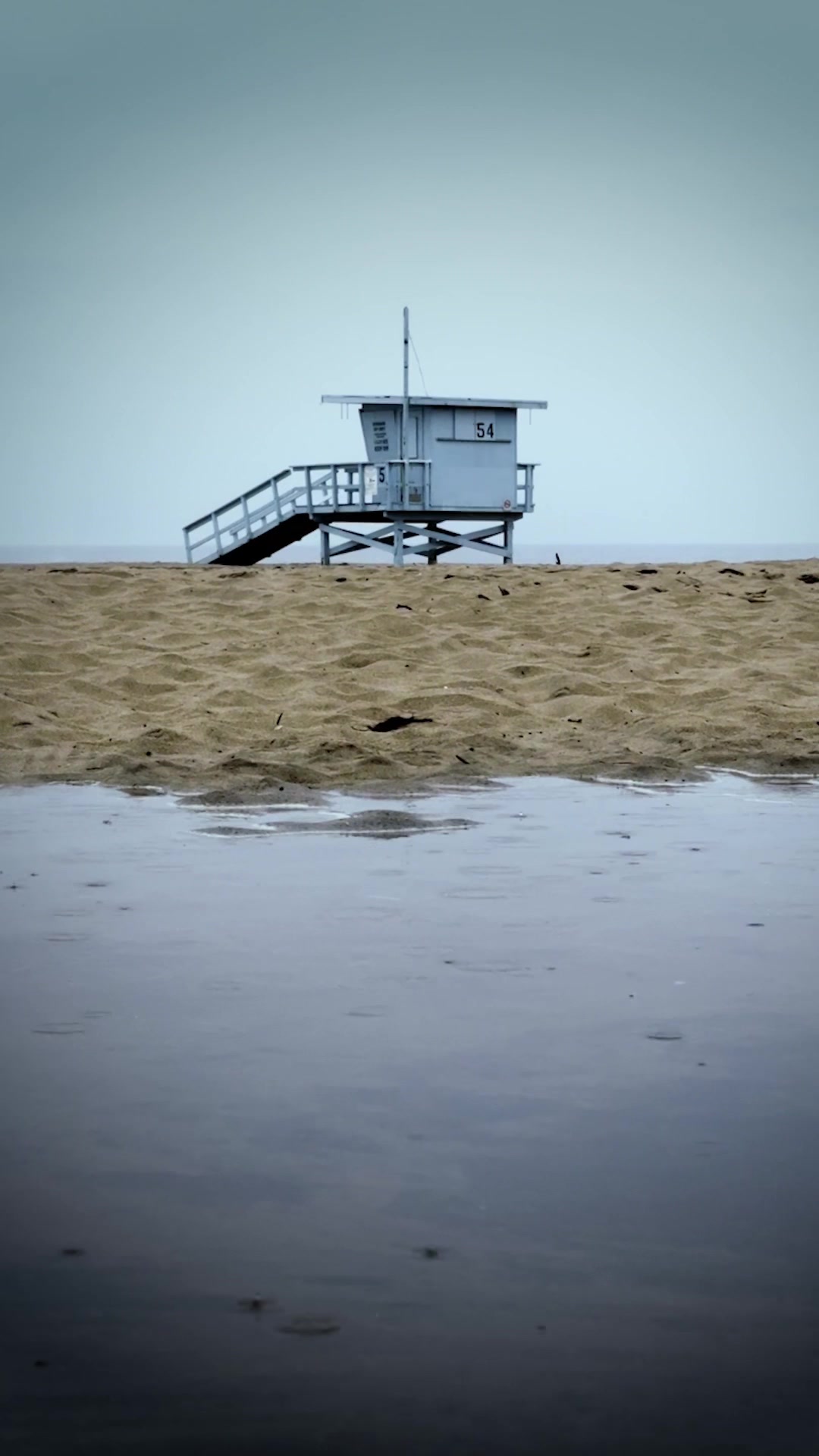 @lacolifeguards