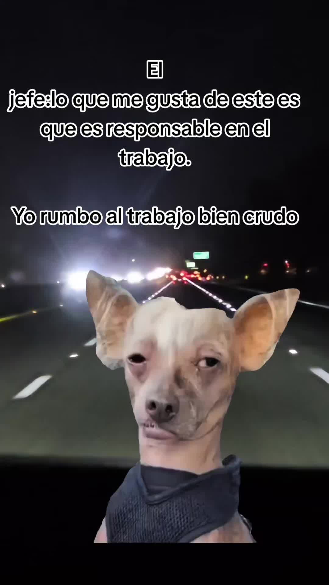 @🇲🇽🐦&zwj;⬛🪺VASQUEZ🚚🌪💎