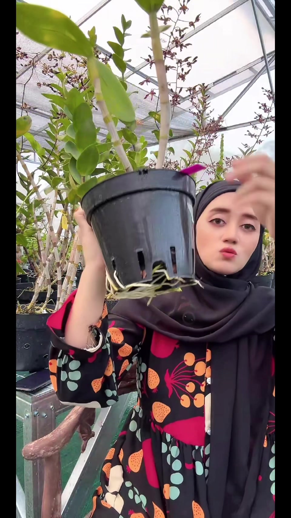 @Anggina Orchid