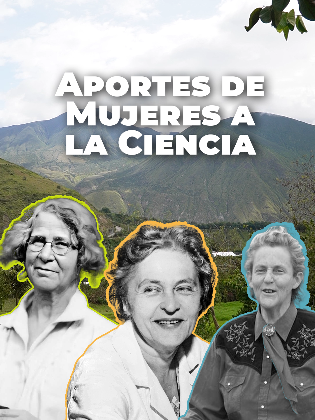 @Charla Wasi | Cabaña y Camping