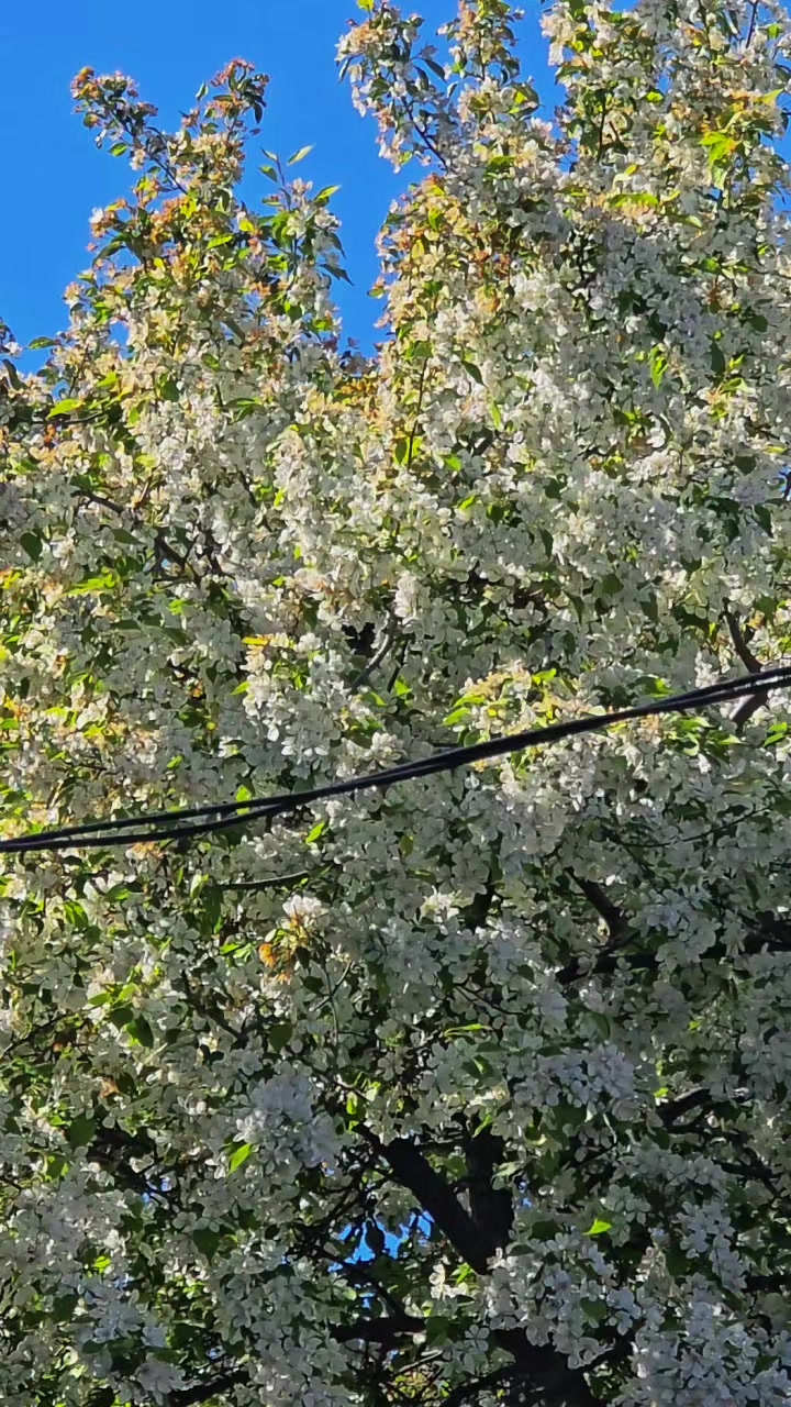 @🌸Татьяна🌸